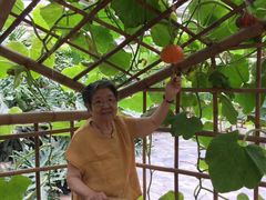 -万源龙顺度假庄园生态观光园