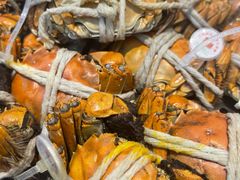 -半岛听涛蒸汽海鲜自助(K11店)