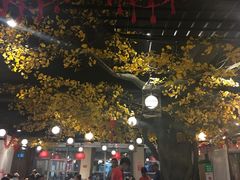 大堂-松针蔡记蒸饺(花园路店)