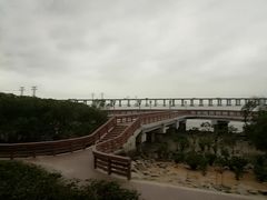 -宝安西湾红树林湿地公园