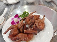 -鸽鸟轩(石岐店)