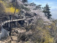 -沂蒙山旅游区龟蒙景区