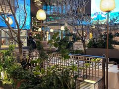 -桂满陇·海市蜃楼·黑金(国金店)