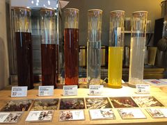 -1828王老吉·草本新茶(珠江新城地铁站店)