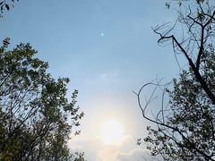 -西湖风景区-江洋畈生态公园