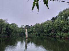 -日照海滨国家森林公园
