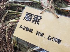 -北戴河集发农业梦想王国