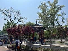 -西海子公园