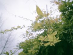 -府河摄影公园