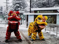 -青峰峡国家森林公园