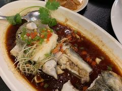 -河畔春天时尚餐厅