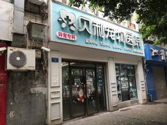 -贝利宠物医院·骨科·眼科·肿瘤转诊中心(南坪诊疗中心)
