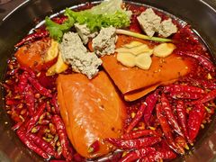 -蜀大侠火锅(总府路店)