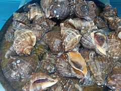 -港畔赶海蒸汽海鲜烧烤自助(仙螺岛店)