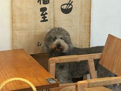 -沏点Trattoria意大利餐厅(新街口店)
