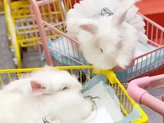 -厦门失恋博物馆(中华城店)