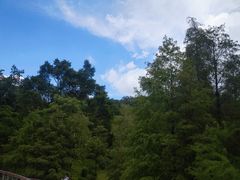 -云溪植物园