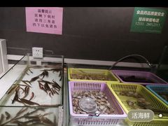 水产区-顶味涮烤(宝龙店)
