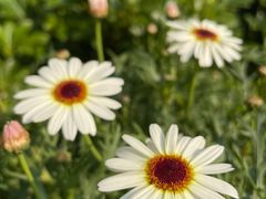 -广州锦绣香江度假别墅