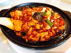 -陈麻婆豆腐总店