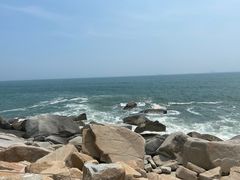 -广东惠东海龟国家级自然保护区