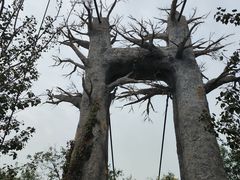 -西青郊野公园