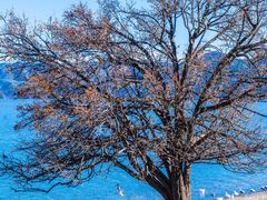 -丽江泸沽湖景区