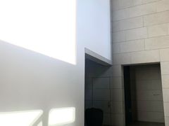 -上海柏悦酒店