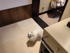 -成都安仁福朋喜来登酒店