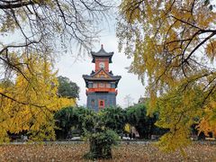 -四川大学(华西校区)