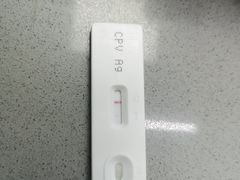 -爱侣宠医·鹦鹉专科·小型哺乳类·异宠专科(灵石路店)