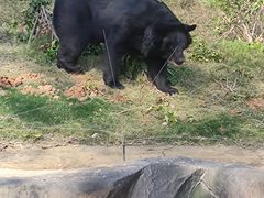 -武汉动物园