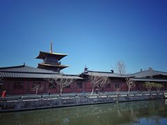 -广富林郊野公园