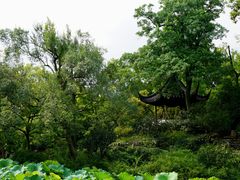 -拙政园