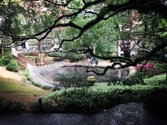 香港大学-香港大学