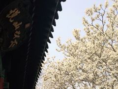 -颐和园