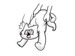 -翊宠yipet猫狗购宠庄园犬舍•猫舍