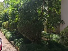 -练塘古镇