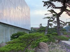 -罗红摄影艺术馆