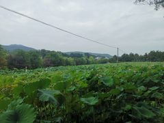 -韶山毛泽东同志故居