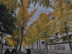 -四川大学(望江校区)