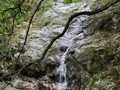 -东天目山风景区