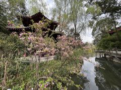 -周肥肠(江油总店)