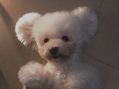 -有宠宠物(YOUCOIN·未来店)