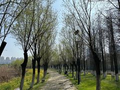 -艾溪湖湿地公园