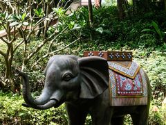 -西双版纳融创皇冠假日度假酒店