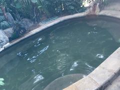 -郑州银基黄帝宫御温泉