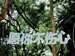 -杭州植物园