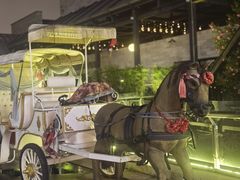 -西溪天堂商业街-停车场