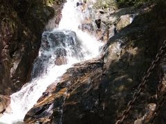 -九龙江国家森林公园